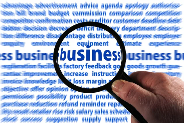 analysis, magnifying glass, examination, bureaucracy, hand, keep, success, successful, concepts, description, difference, deprivation, distribution, employee, employer, request, environment, equipment, estimate, experience, declaration, facilities, factory, feedback, aims, growth, warranty, improvement, increase, invoice, object, memory, repairs, to report, responsibility, result, retailers, rise, risk, salary, sales, schedule, signature, stock, proposal, bureaucracy, success, description, description, distribution, distribution, employer, estimate, warranty, warranty, warranty, warranty, increase, invoice, invoice, result, risk, risk, risk, risk, salary, salary, salary, salary, salary, sales, proposal, proposal, proposal. Wat kost een werknemer? Loon, premies en secundaire voorwaarden